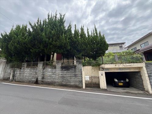 現地写真（2025年7月撮影）