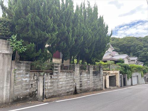 現地写真（2025年7月撮影）