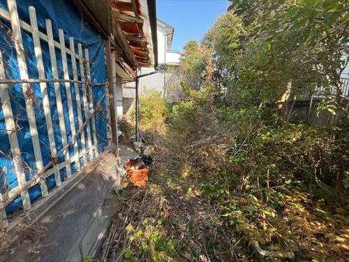 現地南側1（2026年3月撮影）