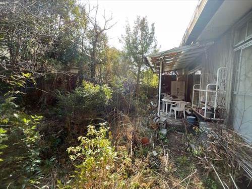 現地南側2（2026年3月撮影）