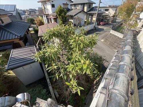 現地北西側（2026年3月撮影）