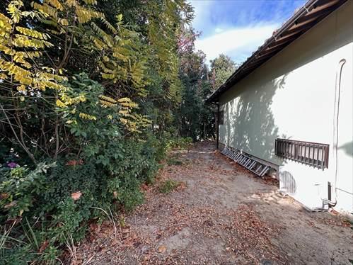 敷地内写真（2025年11月撮影）