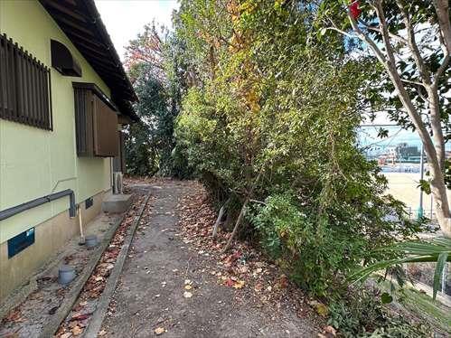 敷地内写真（2025年11月撮影）