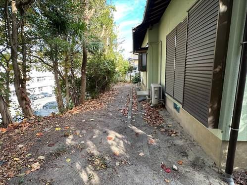 敷地内写真（2025年11月撮影）