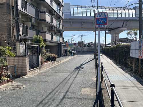 前面道路（別角度）