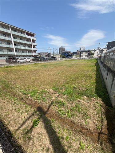 現地写真（2026年4月撮影）