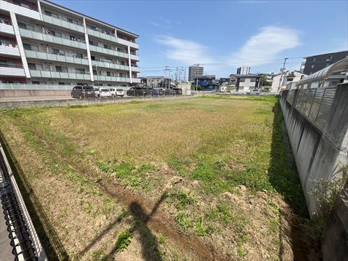 現地写真（2026年4月撮影）