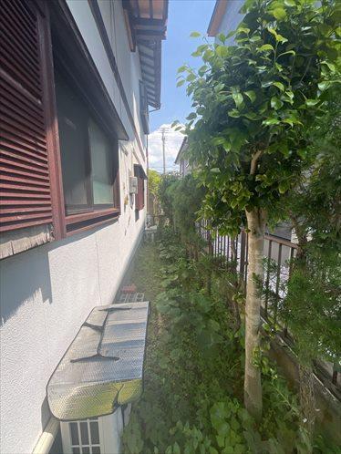 敷地内南東側