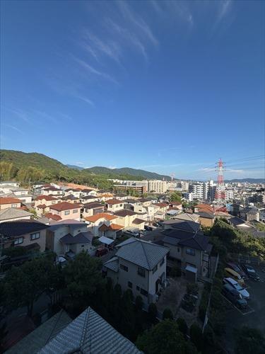 東側バルコニーからの眺望