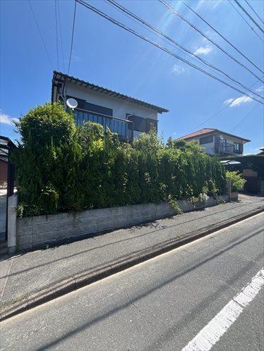 現地写真（2026年7月撮影）