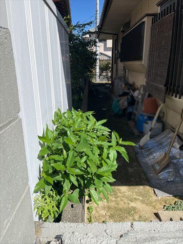 北側隣接地との境界線（東方向）
