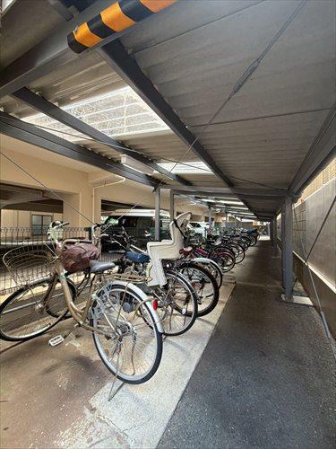 自転車置き場
