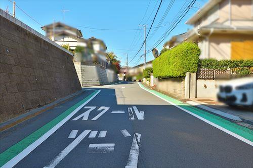 北東側前面道路（物件：左）