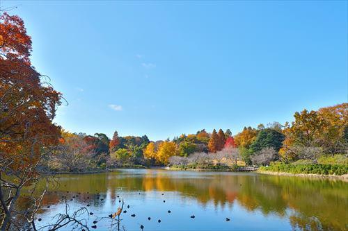 県立三ツ池公園まで620m