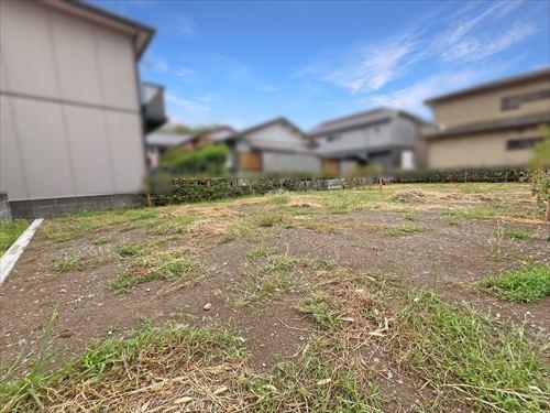 現地（手前）（2025年9月撮影）