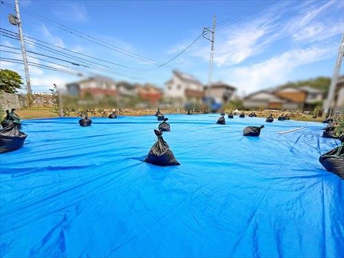 現地（手前）（2025年9月撮影）