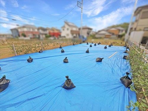 現地（手前）（2025年9月撮影）