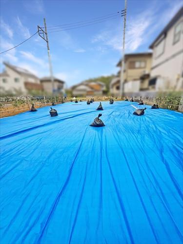 現地（手前）（2025年9月撮影）