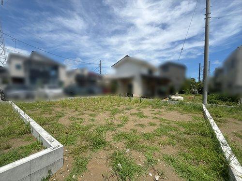 2号地現地写真2025年7月撮影