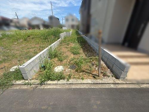 4号地現地写真2025年7月撮影