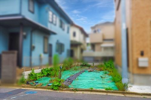 現地(2025年6月撮影) 現地(2025年6月撮影)