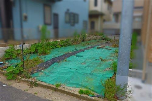 現地(2025年6月撮影) 現地(2025年6月撮影)