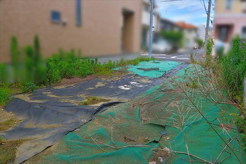 現地(2025年6月撮影) 現地(2025年6月撮影)