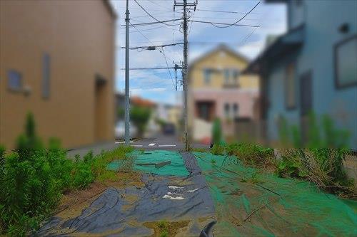 現地(2025年6月撮影) 現地(2025年6月撮影)