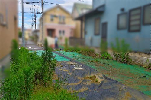 現地(2025年6月撮影) 現地(2025年6月撮影)