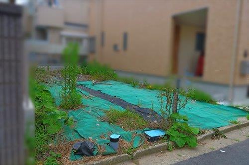 現地(2025年6月撮影) 現地(2025年6月撮影)