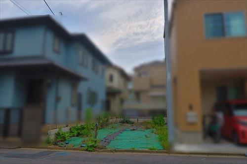 現地(2025年6月撮影) 現地(2025年6月撮影)