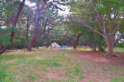 小和田浜公園まで730m 小和田浜公園まで730m