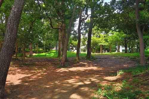 松が丘緑地まで920m 松が丘緑地まで920m