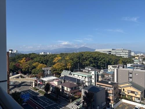 ポーチからの景色