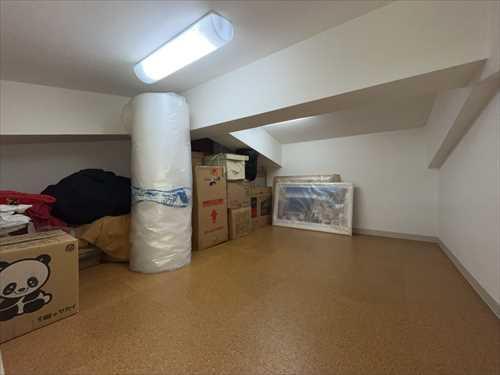 ロフト（2025年11月）