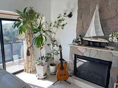 リビング（2025年11月）