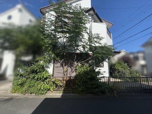 現地写真（2025年10月撮影）