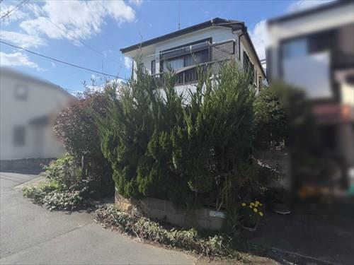 現地写真（2025年10月撮影）