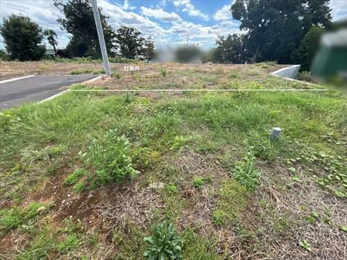 現地【2025年10月撮影】