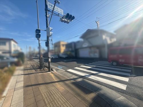 南側前面道路（2025年12月撮影）