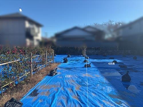 現地（2025年12月撮影）