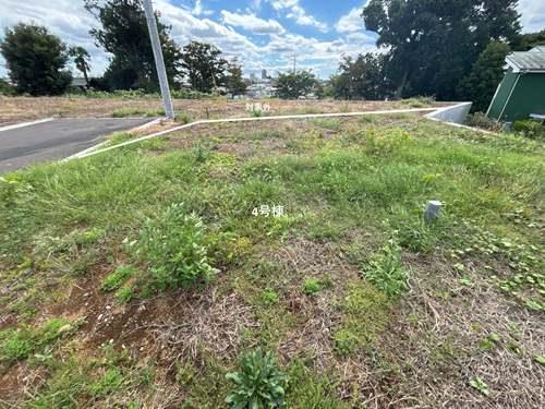 現地【2025年10月撮影】