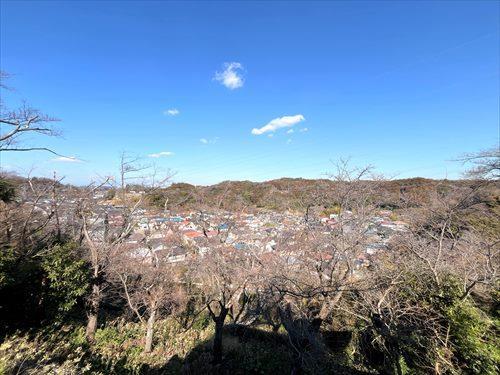 2F北西洋室からの眺望