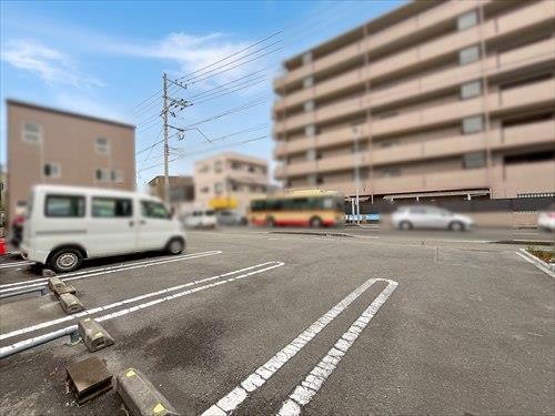 現地土地写真（2025年3月撮影）