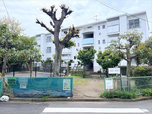 中海岸一号緑地まで200m