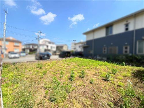 現地写真（2026年5月撮影）