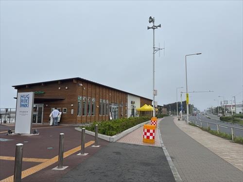 鵠沼海浜公園（2026年5月撮影）