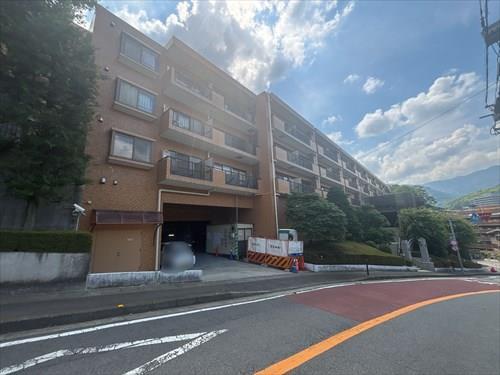 現地写真（2026年7月撮影）