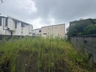現地写真（2026年9月撮影）