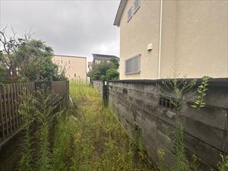 現地写真（2026年9月撮影）